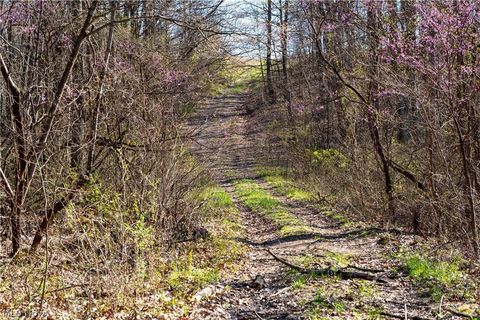 Tiny photo for Sealover Hollow Rd Road, Philo, OH 43771 (MLS # 5203242)