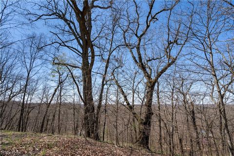 Tiny photo for Sealover Hollow Rd Road, Philo, OH 43771 (MLS # 5203242)