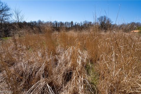 Tiny photo for Sealover Hollow Rd Road, Philo, OH 43771 (MLS # 5203242)