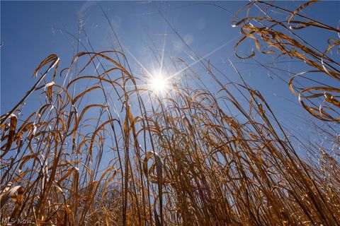 Tiny photo for Sealover Hollow Rd Road, Philo, OH 43771 (MLS # 5203242)