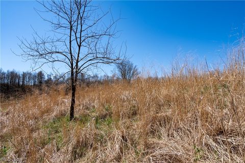 Tiny photo for Sealover Hollow Rd Road, Philo, OH 43771 (MLS # 5203242)
