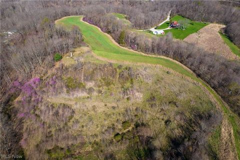Tiny photo for Sealover Hollow Rd Road, Philo, OH 43771 (MLS # 5203242)