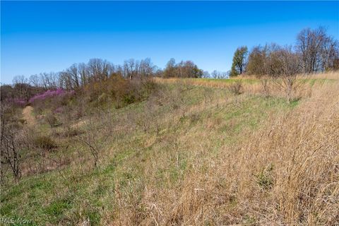 Tiny photo for Sealover Hollow Rd Road, Philo, OH 43771 (MLS # 5203242)