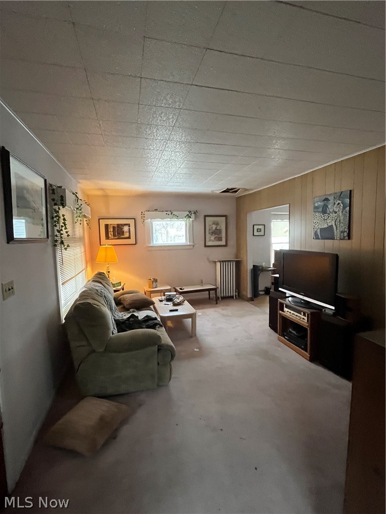 Palmer & Hanscom Allotment - Residential