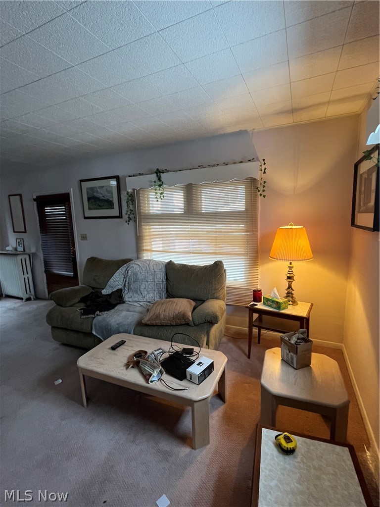 Palmer & Hanscom Allotment - Residential