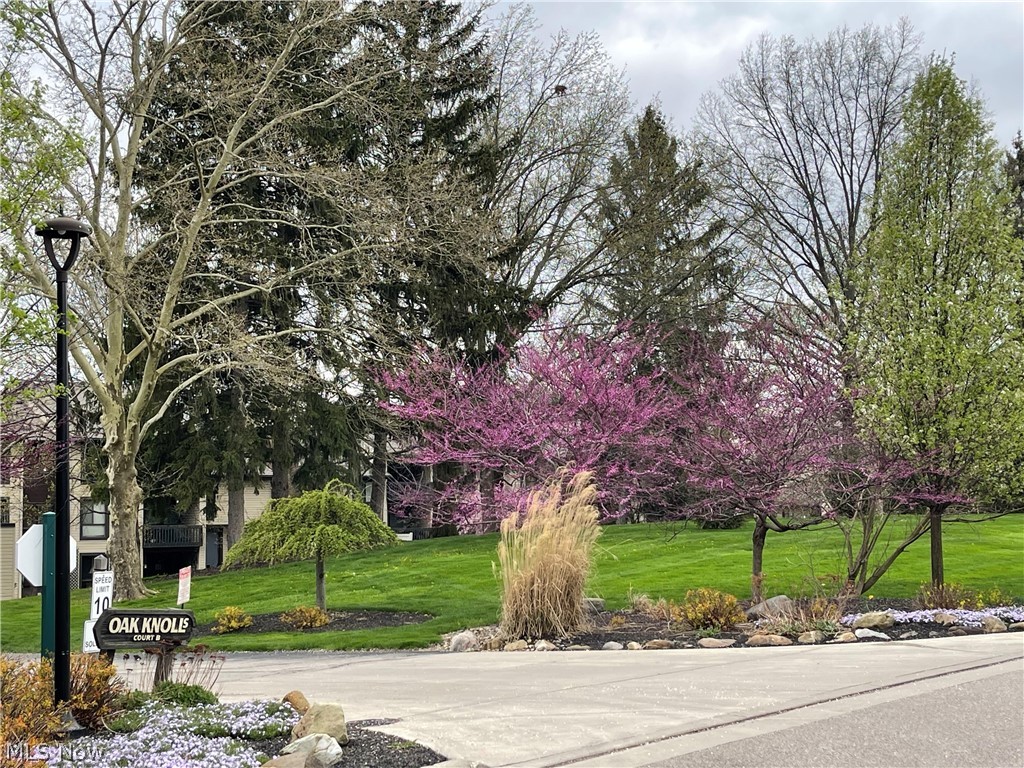 Oak Knolls Condo - Residential