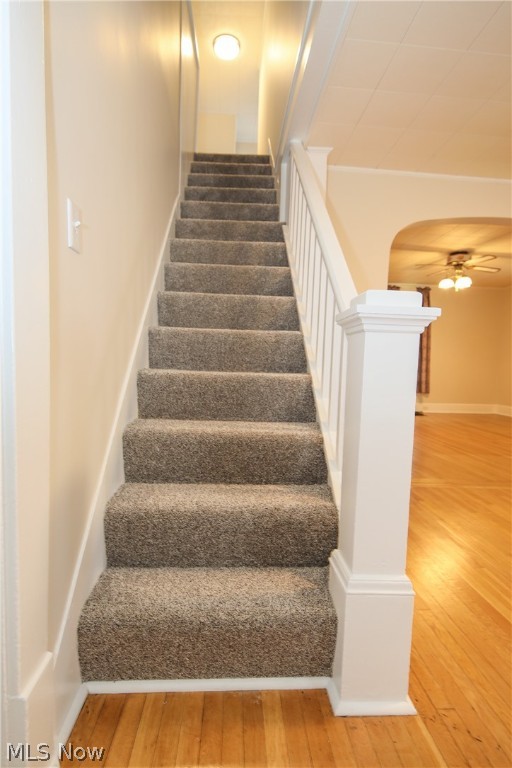 Scoles Add - Residential