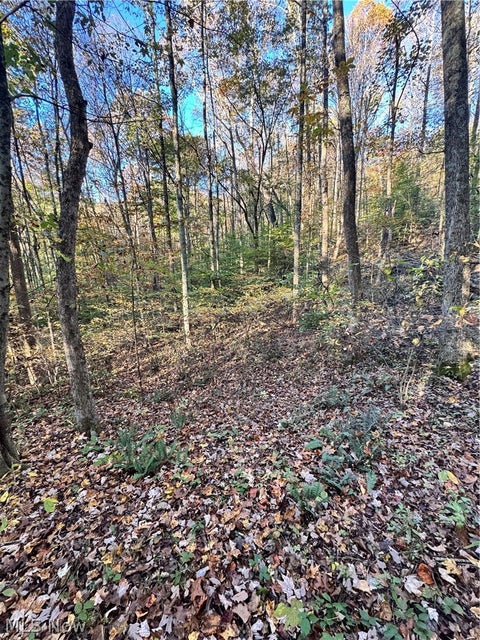 Tiny photo for Township Road 303, Coshocton, OH 43812 (MLS # 5257422)