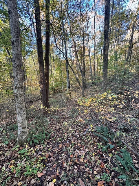 Tiny photo for Township Road 303, Coshocton, OH 43812 (MLS # 5257422)