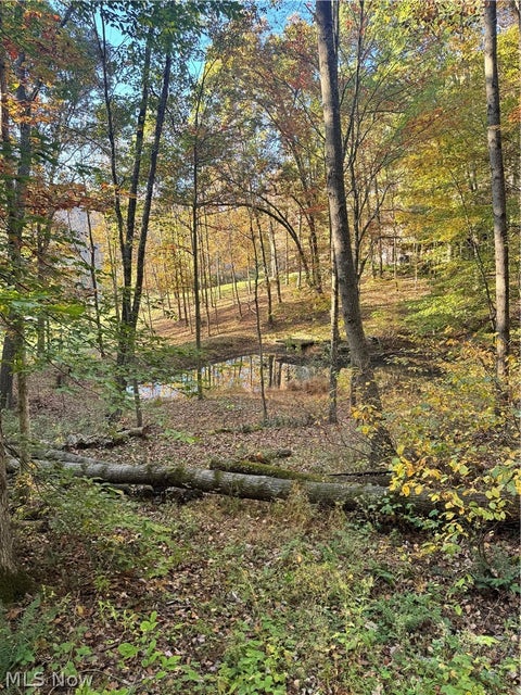 Tiny photo for Township Road 303, Coshocton, OH 43812 (MLS # 5257422)
