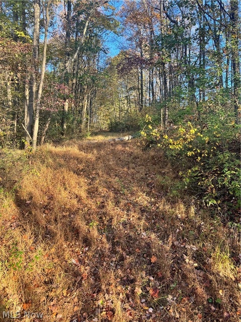 Tiny photo for Township Road 303, Coshocton, OH 43812 (MLS # 5257422)