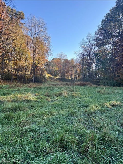 Tiny photo for Township Road 303, Coshocton, OH 43812 (MLS # 5257422)