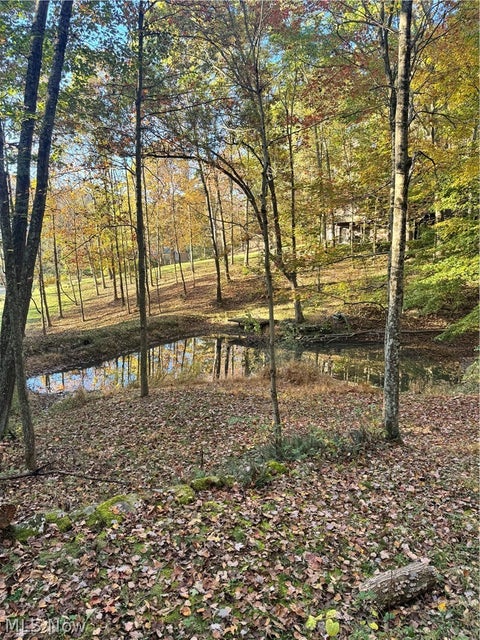 Tiny photo for Township Road 303, Coshocton, OH 43812 (MLS # 5257422)