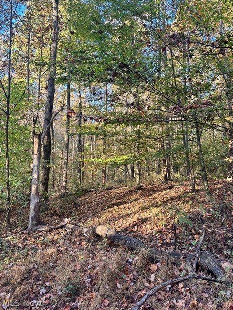 Tiny photo for Township Road 303, Coshocton, OH 43812 (MLS # 5257422)