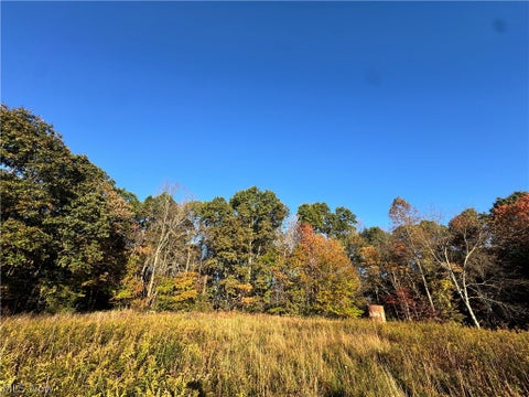 Tiny photo for Township Road 303, Coshocton, OH 43812 (MLS # 5257422)