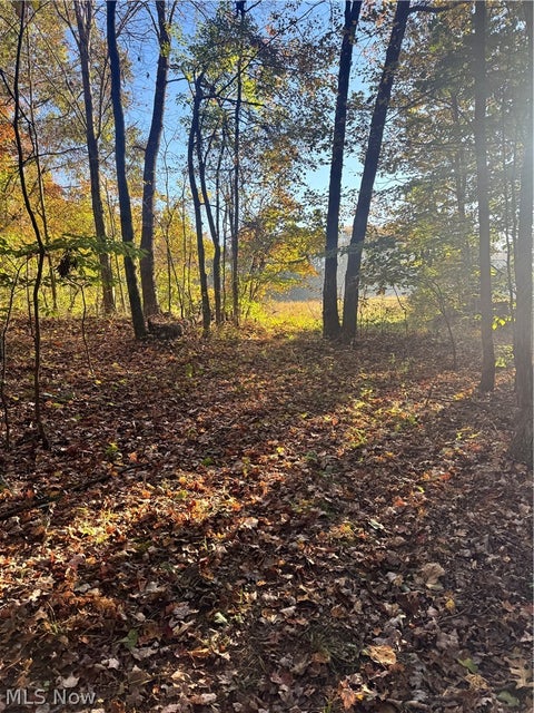 Tiny photo for Township Road 303, Coshocton, OH 43812 (MLS # 5257422)