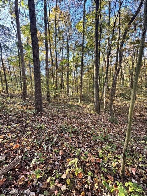 Tiny photo for Township Road 303, Coshocton, OH 43812 (MLS # 5257422)