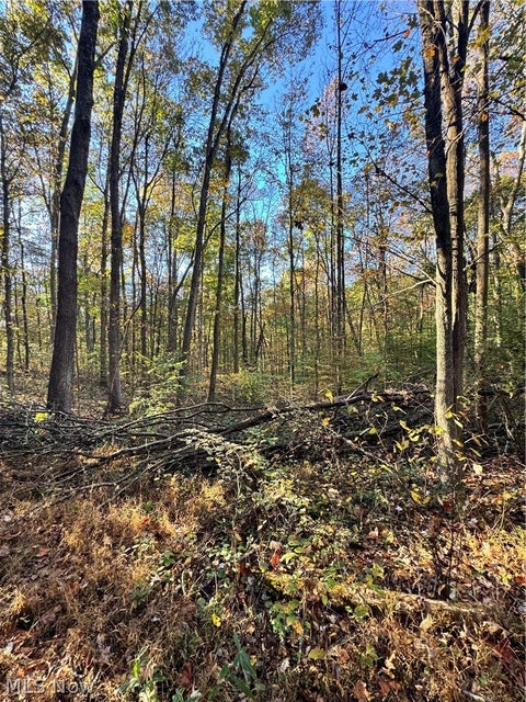 Tiny photo for Township Road 303, Coshocton, OH 43812 (MLS # 5257422)