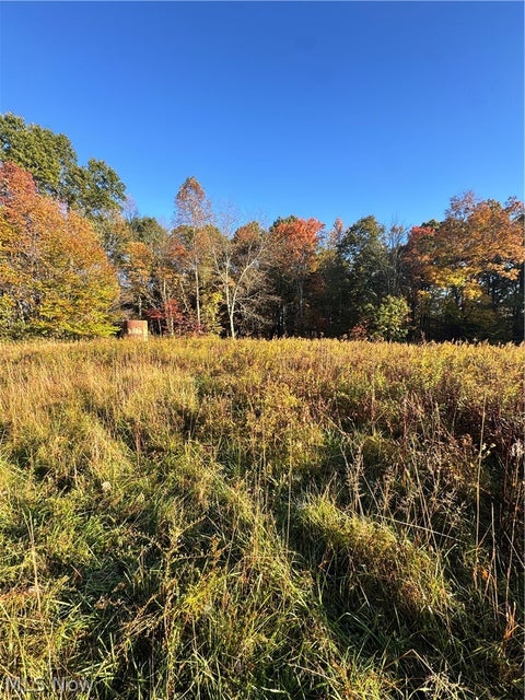 Tiny photo for Township Road 303, Coshocton, OH 43812 (MLS # 5257422)