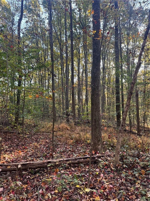 Tiny photo for Township Road 303, Coshocton, OH 43812 (MLS # 5257422)