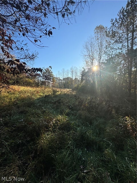 Tiny photo for Township Road 303, Coshocton, OH 43812 (MLS # 5257422)