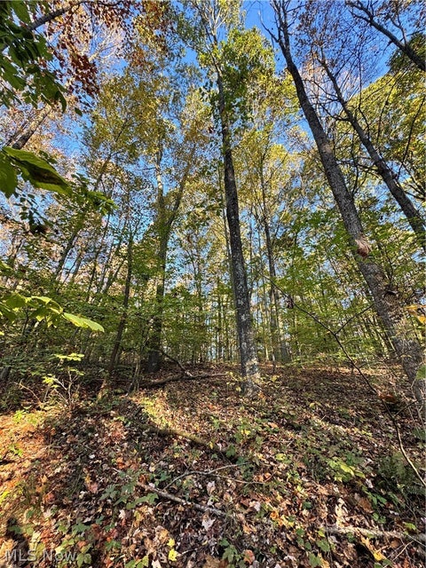 Tiny photo for Township Road 303, Coshocton, OH 43812 (MLS # 5257422)
