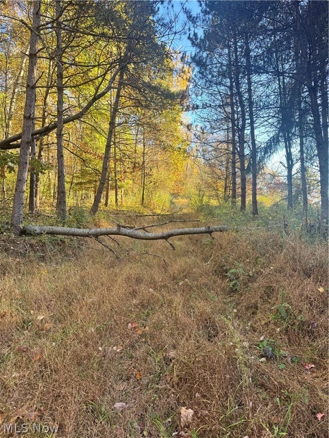 Tiny photo for Township Road 303, Coshocton, OH 43812 (MLS # 5257422)