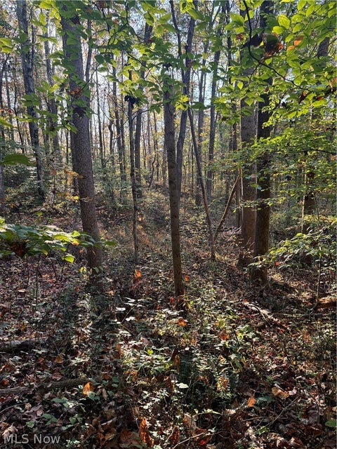 Tiny photo for Township Road 303, Coshocton, OH 43812 (MLS # 5257422)