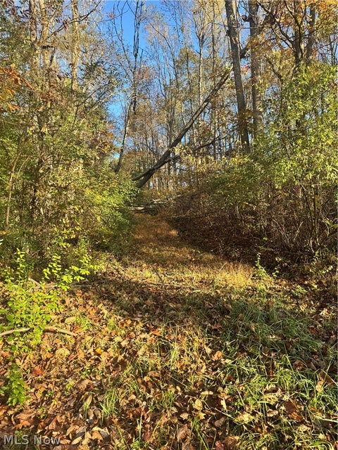 Tiny photo for Township Road 303, Coshocton, OH 43812 (MLS # 5257422)