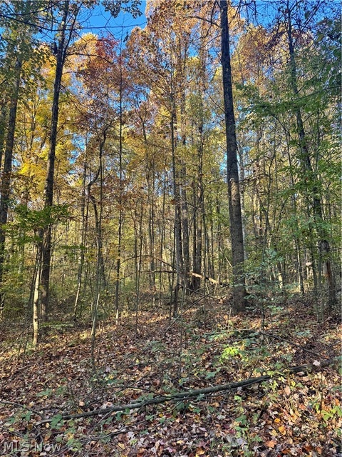Tiny photo for Township Road 303, Coshocton, OH 43812 (MLS # 5257422)