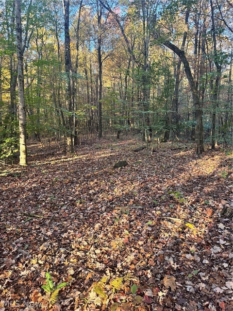 Tiny photo for Township Road 303, Coshocton, OH 43812 (MLS # 5257422)