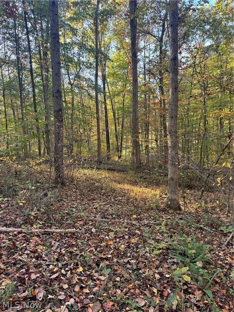 Tiny photo for Township Road 303, Coshocton, OH 43812 (MLS # 5257422)