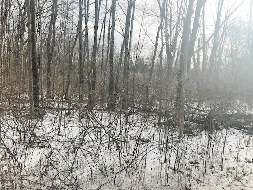 Location, Location, Location. Great location on Brookfield Schools. 5 Acres for your dream home.