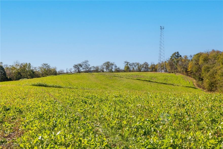 Online auction Monday November 18th at 5:00 PM. Discover your ultimate hunting retreat across 53 acres of prime land, divided into two well-maintained parcels, each offering excellent features for outdoor enthusiasts. Both parcels come with road frontage, creating easy access to the extensive mowed trail systems that wind through the property. Parcel 1 is 33.338 acres and boasts a spacious access field with a nice trail that leads to a large, elevated food plot field, perfect for attracting wildlife or building your dream home or cabin. With slightly more wooded acreage than its counterpart, this parcel provides a great mix of open field and wooded sections, ensuring ideal habitats for deer and other game. Parcel 2, 20.01 acres, mirrors the appeal of Parcel 1, featuring its own access field with road frontage and a large food plot on a hilltop, connected by a well-established trail network. This parcel's wooded areas enhance its suitability for hunting and outdoor recreation, with diverse terrain for game movement and ample natural cover. This parcel could also be a dream building spot for a home or cabin.
Whether you're looking for a hunting tract, recreational escape, homesites, or land investment, this versatile property provides opportunities to immerse yourself in the great outdoors. Explore both parcels and enjoy the abundance of wildlife and natural beauty they offer! 50% of seller owned mineral rights will transfer to the buyer of each parcel. Parcel is nearby or adjacent to this address and does not constitute a real house number.