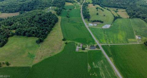 Vacant Land For Sale - Erie Avenue<br/> Beach City, OH 44608