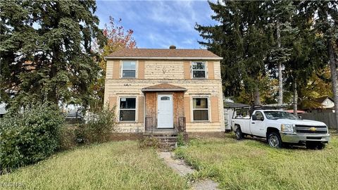 7500 Halle Avenue Cleveland OH 44102