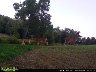 5417 Tr 257, Millersburg, Ohio image 1