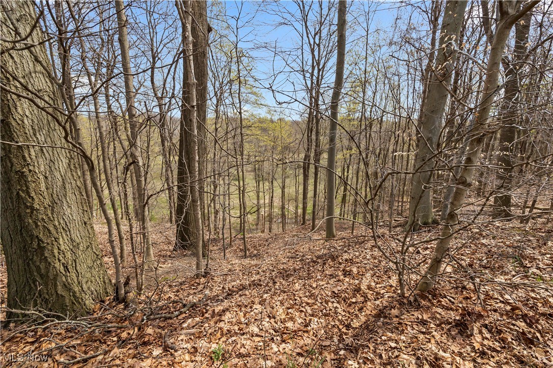 8273 Bank Street, Vermilion, Ohio image 34