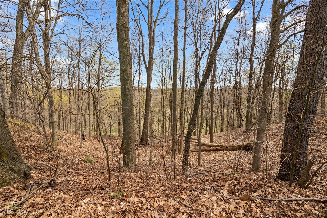 8273 Bank Street, Vermilion, Ohio image 35