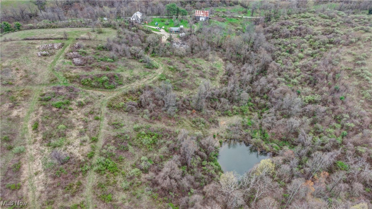 32580 Clyde Ruble Road, Lewisville, Ohio image 12