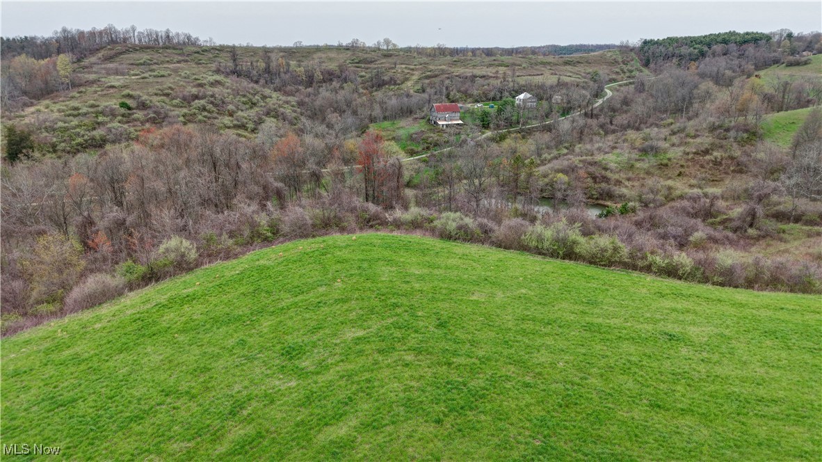 32580 Clyde Ruble Road, Lewisville, Ohio image 7