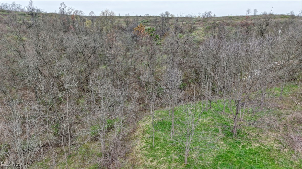 32580 Clyde Ruble Road, Lewisville, Ohio image 18