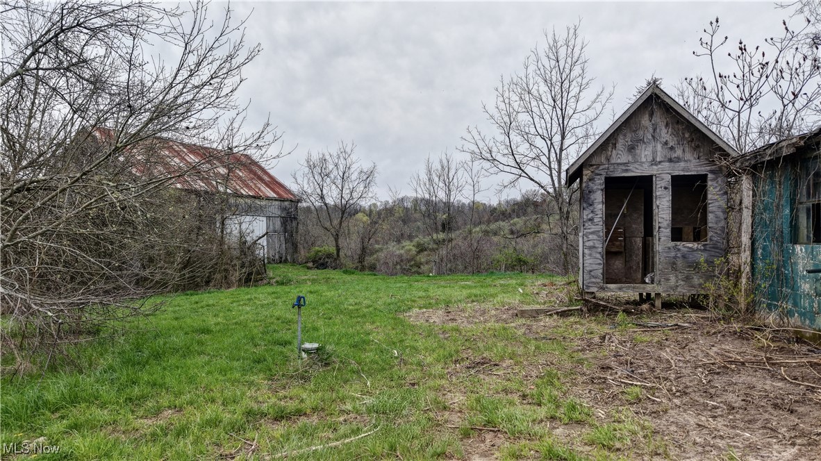 32580 Clyde Ruble Road, Lewisville, Ohio image 20