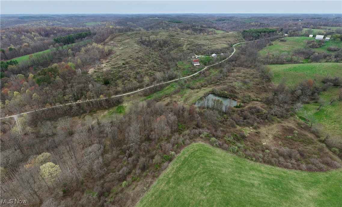 32580 Clyde Ruble Road, Lewisville, Ohio image 5