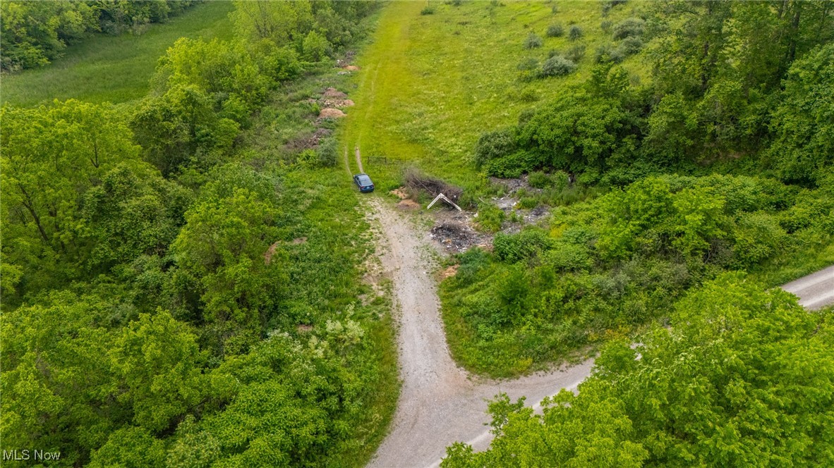 Piney Fork Road, Dillonvale, Ohio image 5
