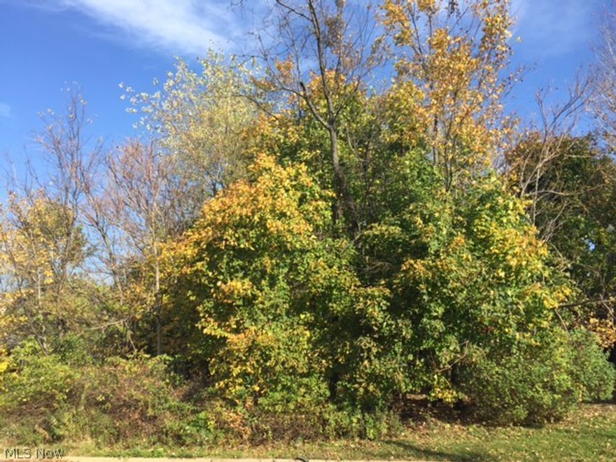 Nice residential wooded lot. Per city of Akron water and sewer available. Approximate costs to tie in are $245 for sewer permit and $1800 for 1 inch water service.