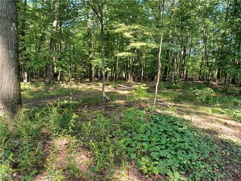 Vacant Land For Sale - 695 S Hubbard Road<br/> Mahoning County, Lowellville, OH 44436