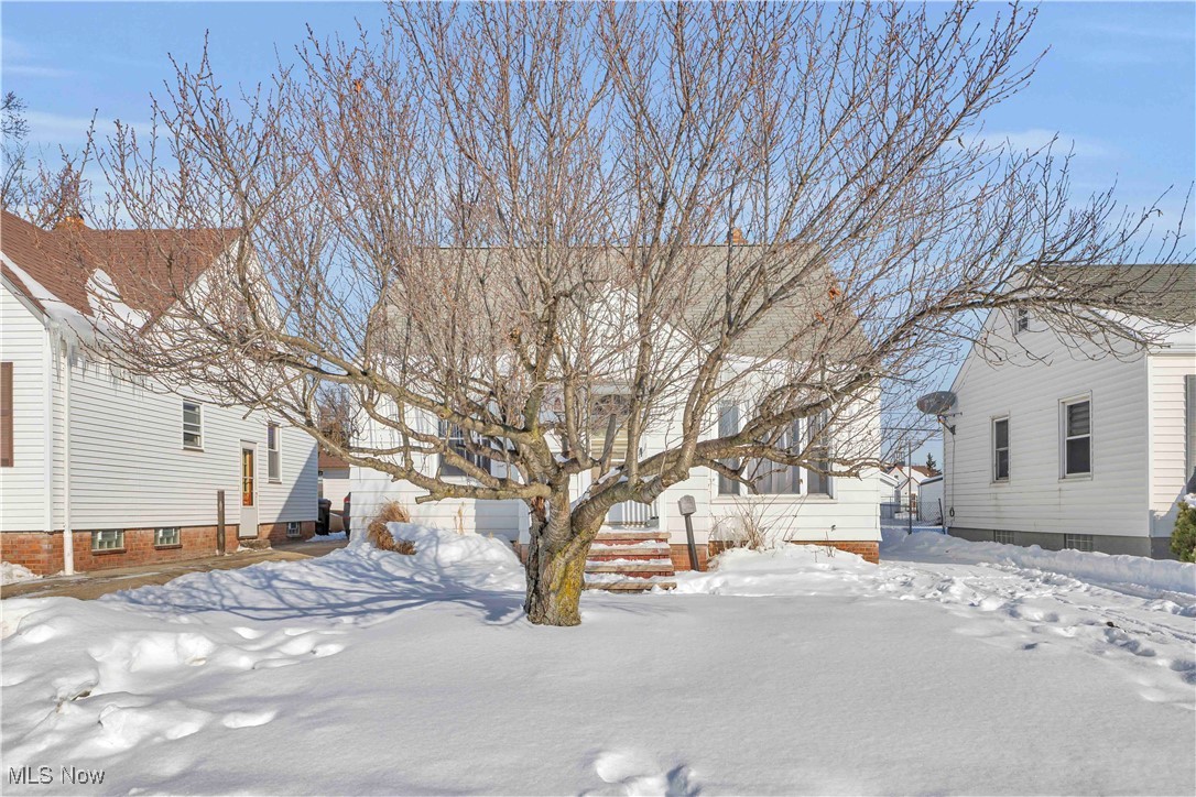 Ridgewood Gardens - Residential