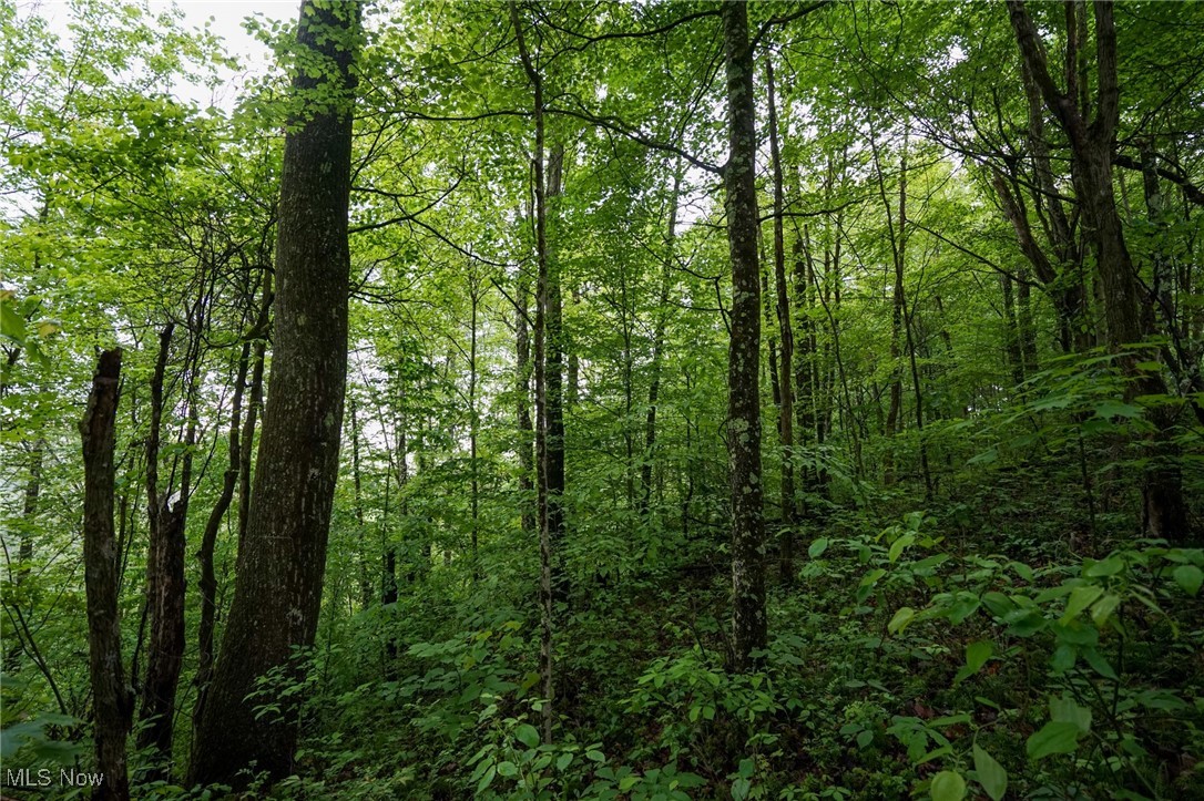 Township Rd 460, Woodsfield, Ohio image 9