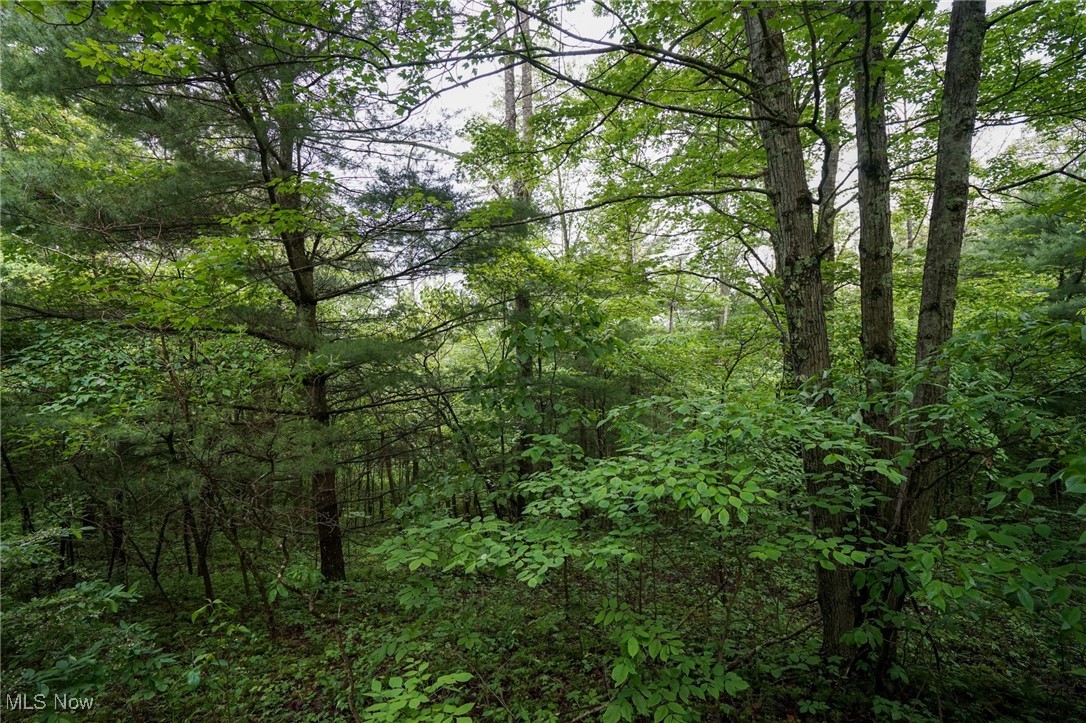 Township Rd 460, Woodsfield, Ohio image 17